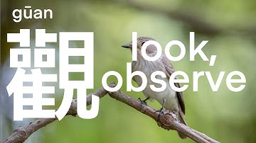《漢字演變》觀