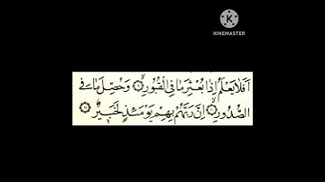 سورة العاديات من٩الى١١ #سورة_الليل #سورة_الحديد #سورة_الانعام #سورة_الفلق #سورة_الناس #سورة_الاخلاص