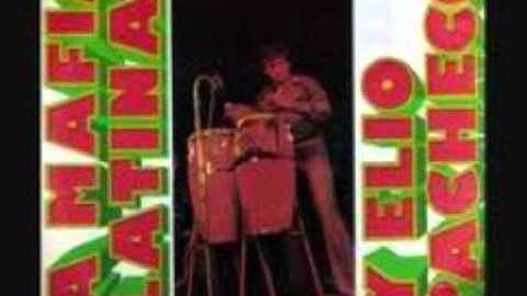 SABOR A CANEY----ELIO PACHECO Y LA MAFIA LATINA