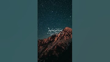 هو الذي انزل السكينة في قلوب المؤمنين | تلاوة عبد الرحمن مسعد 😌 🙏 #قرآن #قرآن_كريم #عبدالرحمن_مسعد
