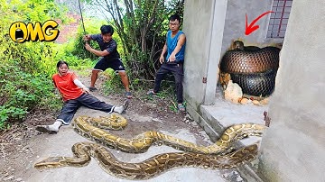 Brave Expert Rescues Girl From Anaconda In Abandoned House