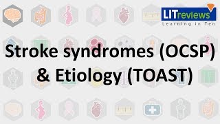 Stroke syndromes OCSP  Etiology TOAST screenshot 5