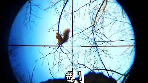 18 Top Squirrel Hunting With Scope Cam Control 2020 - 2021