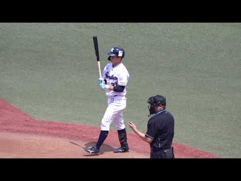登場曲 ヤマザキ一番 山崎晃大朗 第1打席 2022年 東京ヤクルトスワローズ