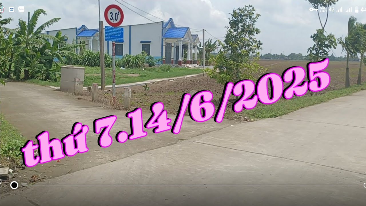 Trại gà tre Bắc Trần đề Sóc Trăng#gà tre mini