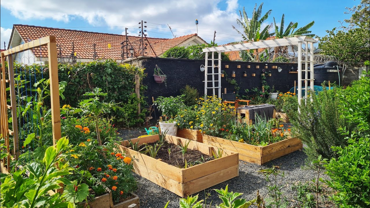 То, что я выращиваю в крошечном саду, чтобы кормить нас годами!