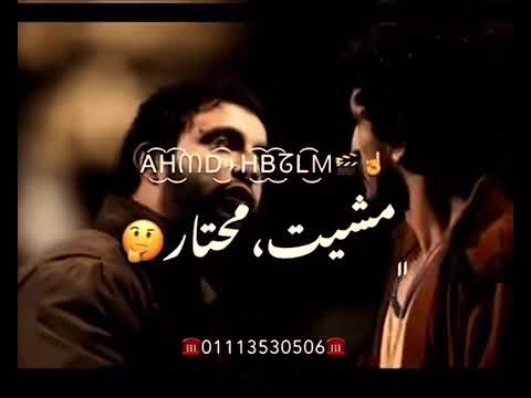 راجع وصدفا لقيت في زفه