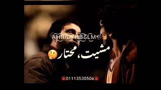 راجع وصدفا لقيت في زفه - اسمعها