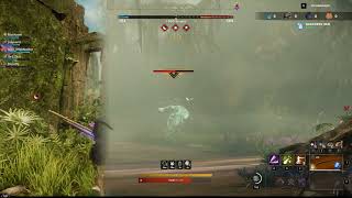 New World PVP Musket Rapier OPR 1 v 2 Build 300 Dex 150 intelligence