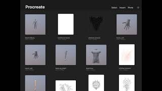 How to Import 3D Models into Procreate