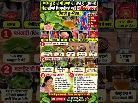 🌿 ਅਮਰੂਦ ਦੇ ਪੱਤਿਆਂ ਦੀ ਚਾਹ ਦਾ ਕਮਾਲ! ਪੇਟ ਦੀ ਗੈਸ, ਕਬਜ਼ ਤੇ ਐਸੀਡਿਟੀ ਲਈ ਜਾਣੋ ਇਹ ਦੇਸੀ ਨੁਸਖ਼ਾ ☕