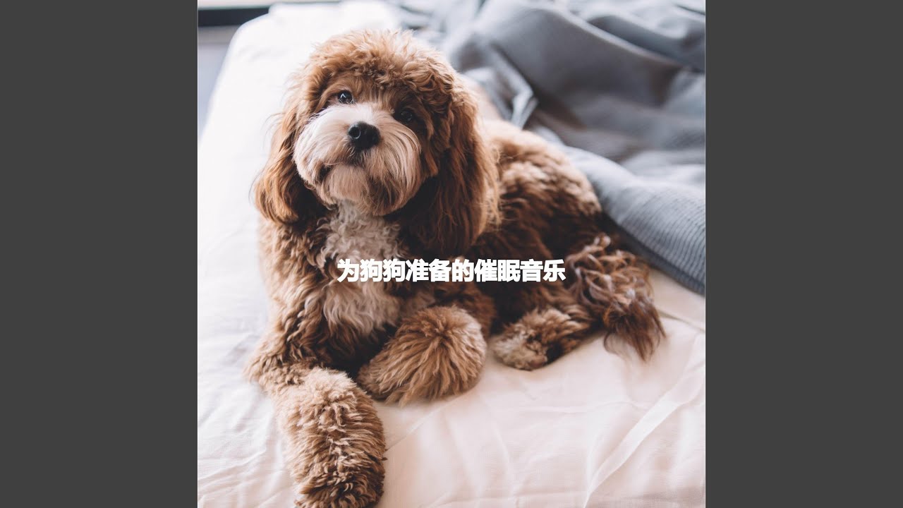 Laid-back Visual Adventures