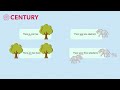 Understanding Verbs and Their Usage