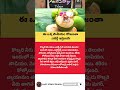 ఈ ఒక్క పానీయం రోజంతా ఎనర్జీ ఇస్తుంది #factstorytelugu #coconutwater #naturalenergy