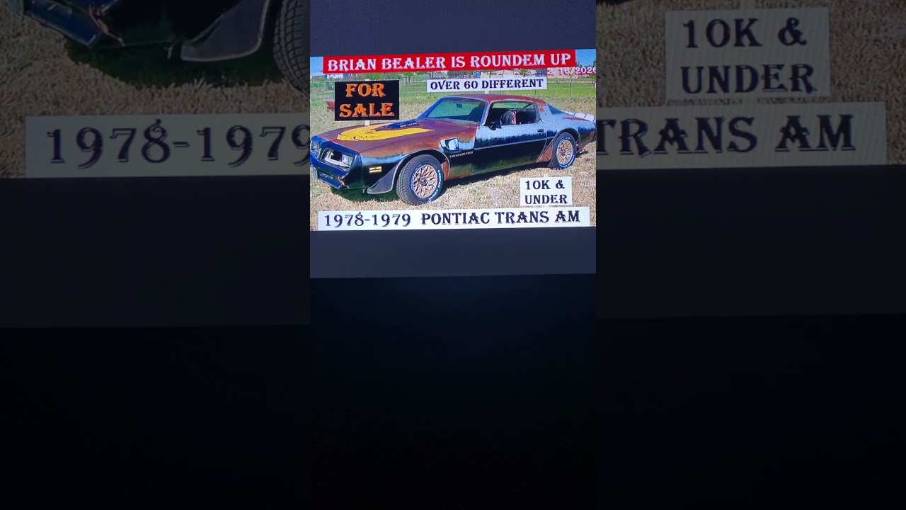 Подписывайтесь бесплатно и оставляйте свои запросы сегодня! 👍👍👍 @BRIANBEALERisRoundemUp