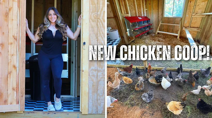 My New 600+ Square Foot Chicken Coop | Moving the ...