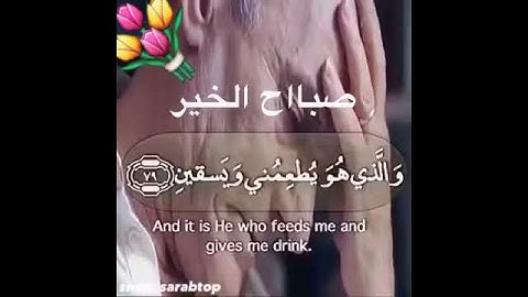 الله يسسعدكم ويفرح قلبكم سورة الشعراء💙😍