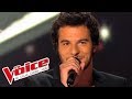 Elton john  candle in the wind  amir haddad  the voice france 2014  blind audition