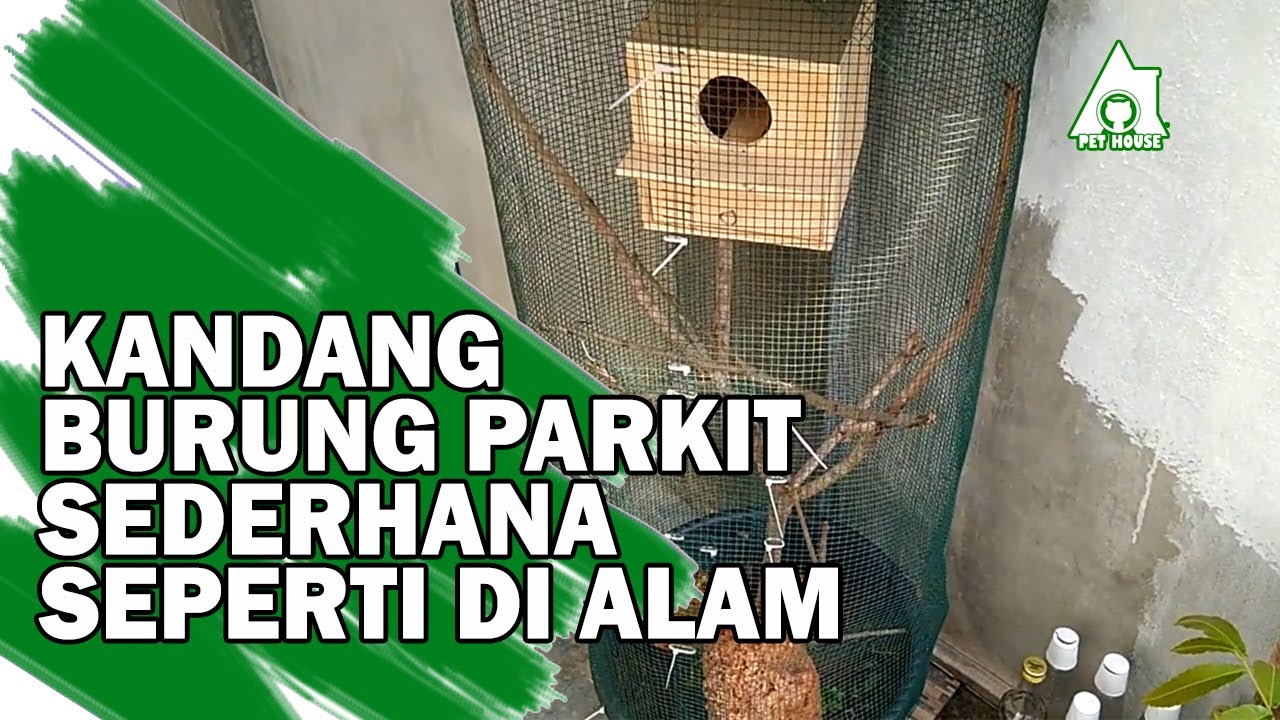 KANDANG BURUNG PARKIT SEDERHANA SEPERTI DI ALAM | KICAU MANIA 