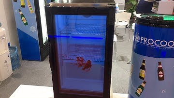 32 inch transparent lcd cooler
