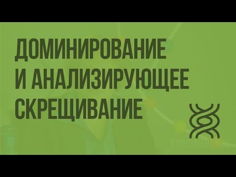 Неполное доминирование и анализирующее скрещивание. Видеоурок по биологии 9 класс