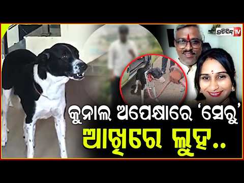 ଅପେକ୍ଷା କରିଥିଲା ପୋଷା କୁକୁର, ହେଲେ ଘରକୁ ଫେରିଲାନି ପରିବାର ! pet dog rescued Maha family's tragic death