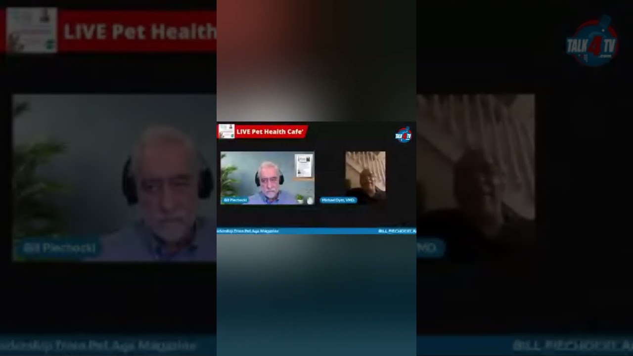 Bill Piechocki discusses the issues with commercial pet food