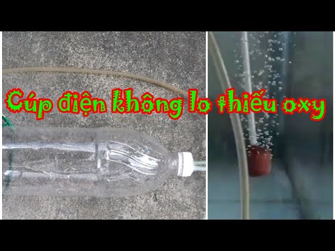Video Cách tạo oxy từ chai nhựa cho hồ cá không cần động... - youtube