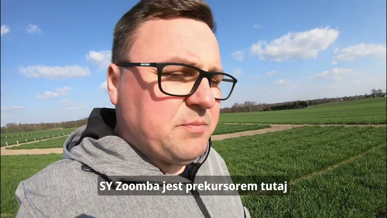 SY Zoomba w doświadczeniach bez ochrony insektycydowej na mszyce – sprawdźmy jak sobie poradziła!