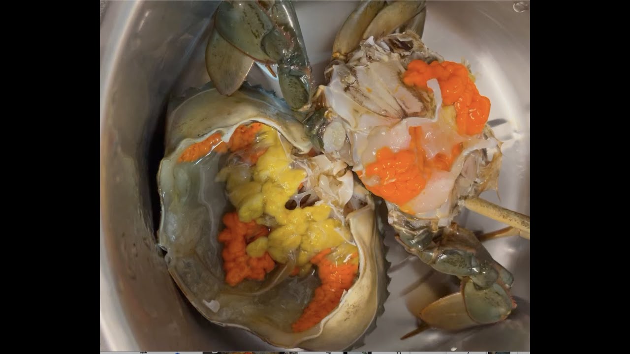 Professional way to crab handing(giant mud crab)full of crab roe | 肥美秋蟹(大沙母)滿滿的蟹黃與蟹膏，簡單米酒和薑料理就極美味