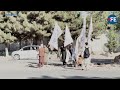 Taliban Mark 5 Years In Power | Afghanistan Faces Deepening Humanitarian Crisis