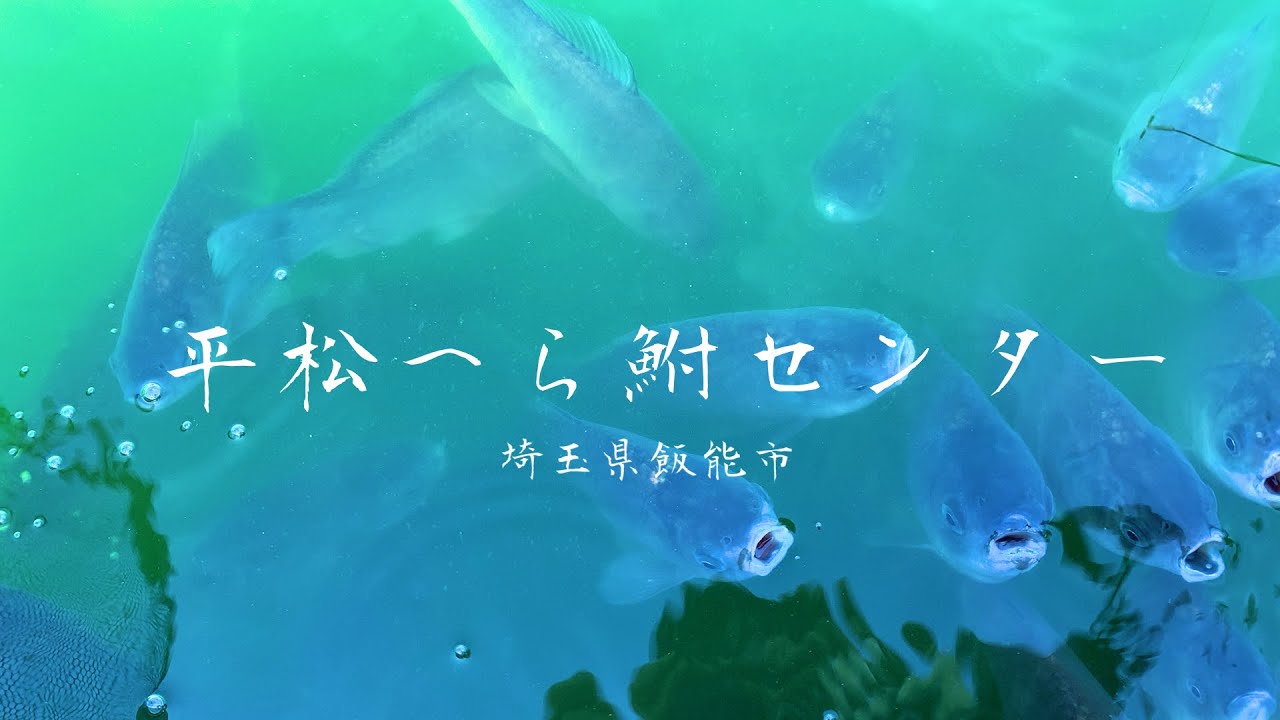 手打ちうどんが美味い釣り堀 平松へらぶなセンター
