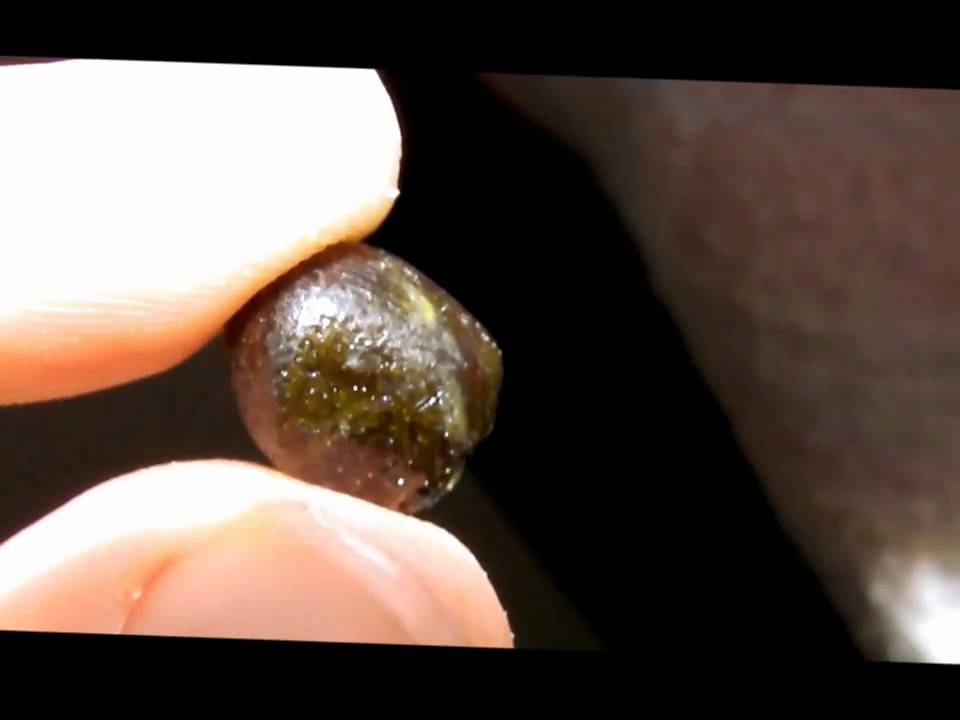 C02 Amber Glass WWW.KUSHITS.WORDPRESS.COM