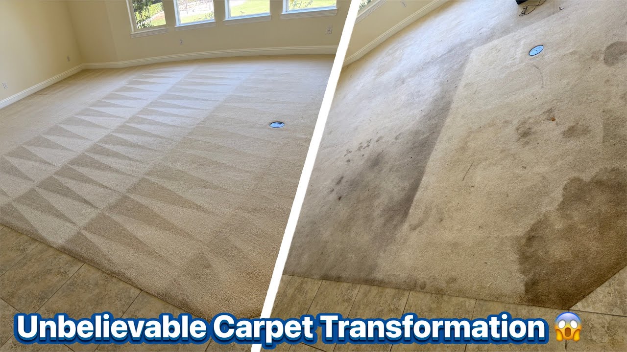 From FILTHY to FLAWLESS – Insane Carpet Cleaning Transformation!