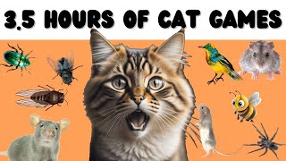 Cat Games Compilation  More than 3 HOURS the best games  Mice, bugs, flies, spiders...