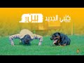 حلقة Ben كلبي الجديد و عرض لتدريباته 44 V 
