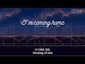 Vietsub   Lyrics | Skylar Grey | Im coming home (Part 2)