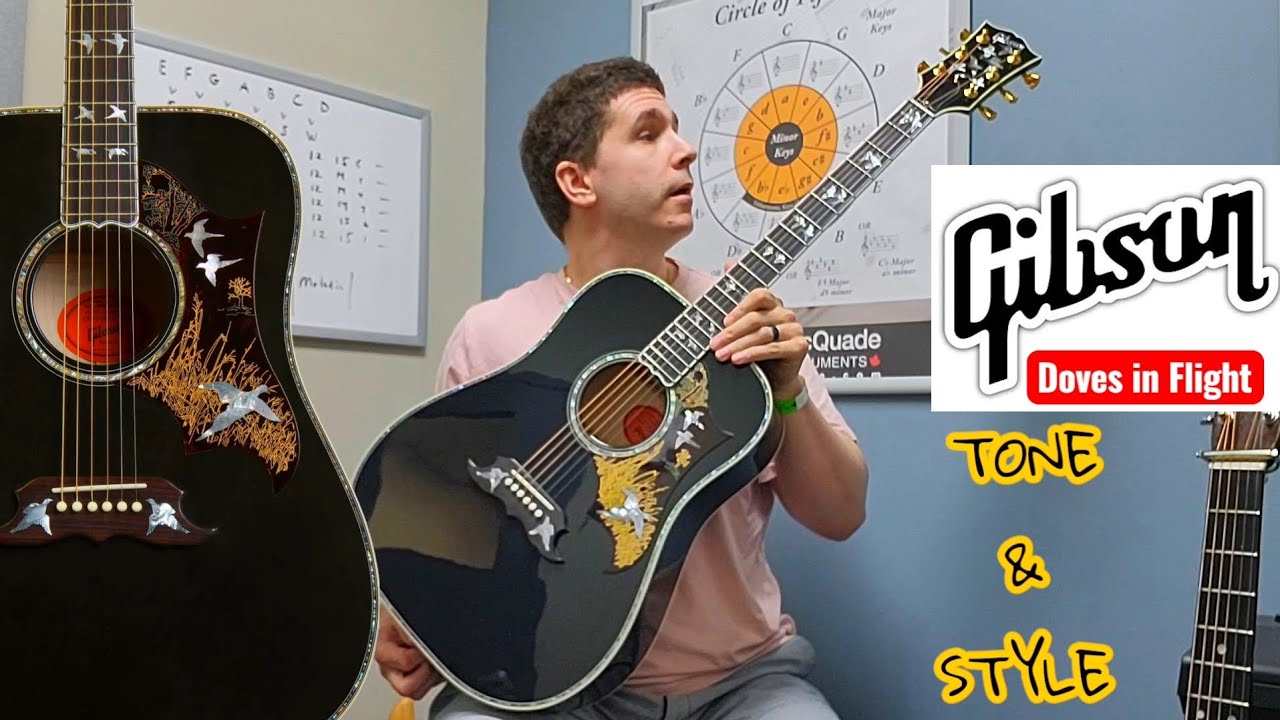 A Rare Gibson Doves in Flight Ebony | An Unbelievable Instrument
