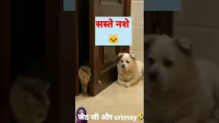 Crimsy Or jeth ji🤣 | Crimsy comedy #shorts #youtubeshorts #funny