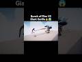 Bunch of Flies VS Giant Gorilla🔥😱