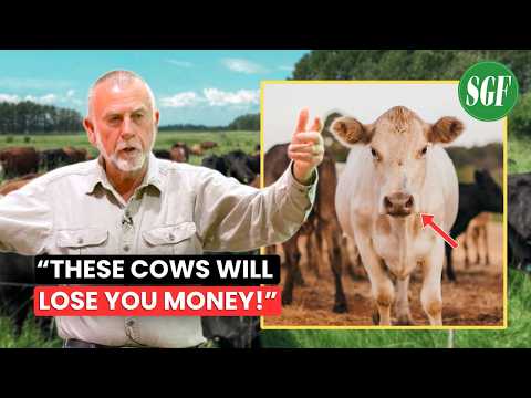 Grazing Expert: These Cows Don’t Increase Your Income!