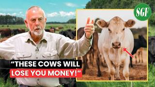Grazing Expert: These Cows Don’t Increase Your Income