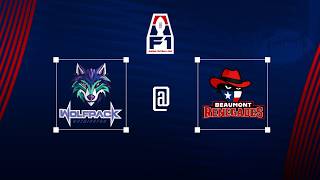 Washington Wolfpack vs Beaumont Renegades LIVE | Arena Football 2026 – Arena Football One (AF1) screenshot 5
