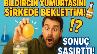 Yumurta Sirkede Bekleyince Lastik Topa Döndü -Egg winegar Hack #deney #fypp 