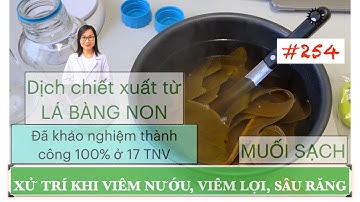 #254. XỬ TRÍ VIÊM NƯỚU-VIÊM LỢI- SÂU RĂNG NHỎ VỚI DỊCH CHIẾT XUẤT LÁ BÀNG NON