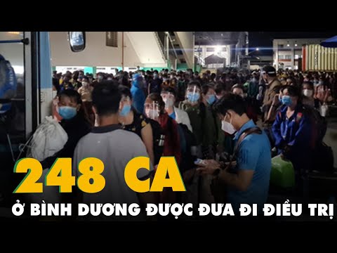 Video 248 ca F0 của 1 công ty '3 tại chỗ' ở Bình Dương được... - youtube