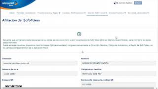 Online Merchant Soft Token Affiliation Person screenshot 5