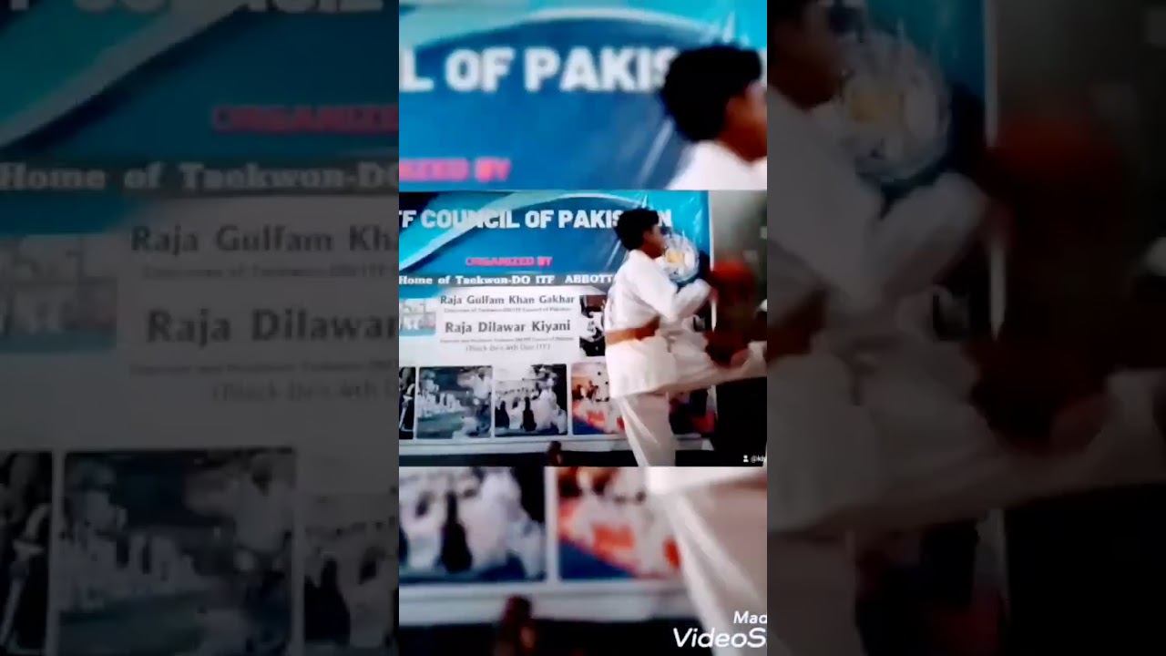 Taekwon-DO ITF sparring session