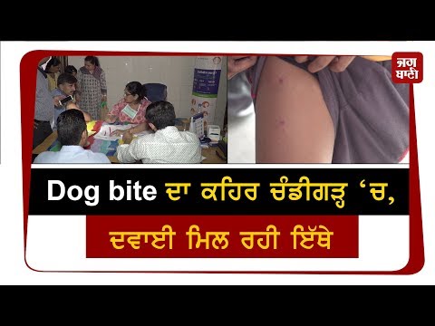 Sorry..Sorry..Sorry ਸਾਡੇ ਕੋਲ ਨਹੀਂ Anti-Rabies ਇੰਜੈਕਸ਼ਨ