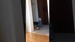 Baby stands himself up by door post and falls on cat